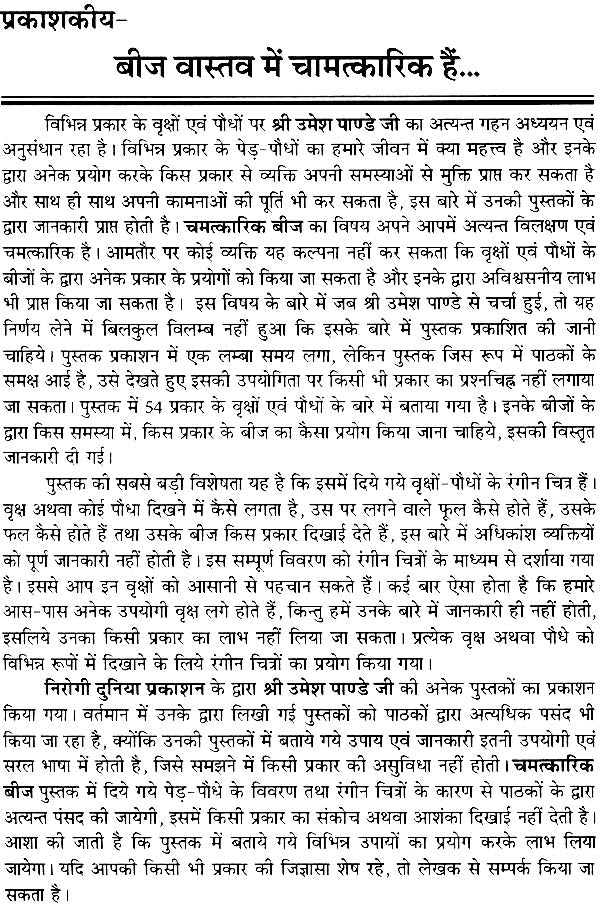 Magical Seeds - Retail Maharaj