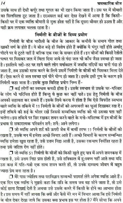 Magical Seeds - Retail Maharaj