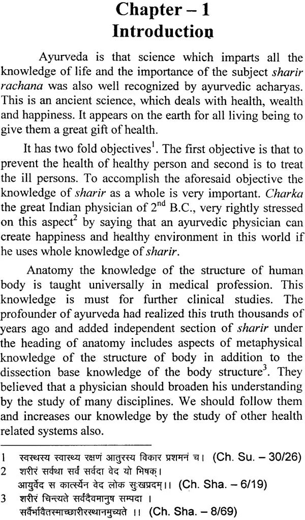 Yogic Nadis (The Subtle Flow of Vibration) - Retail Maharaj