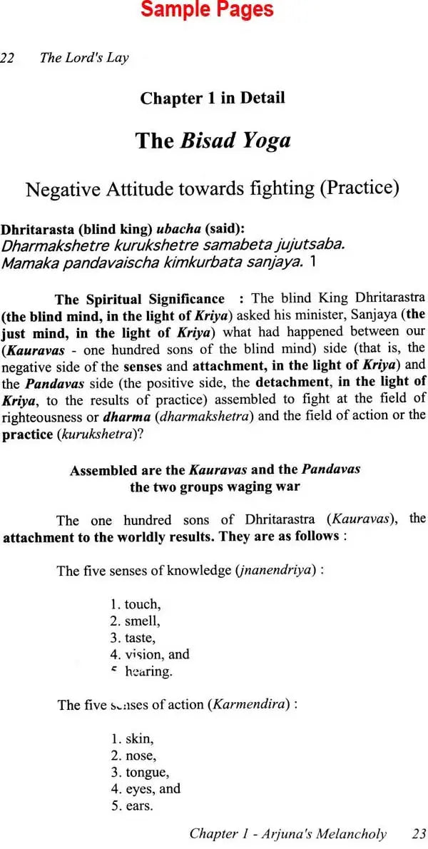 The Lord’s Lay: The Bhagavad Gita (On The Breath in Everybody’s Life) - Retail Maharaj