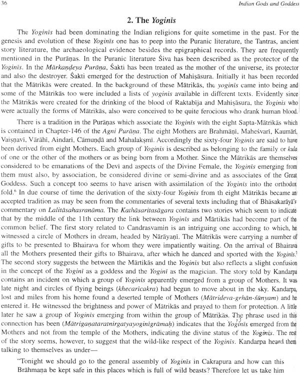 Yogini Shrines and Saktipithas (Set of 2 Volumes) - Retail Maharaj