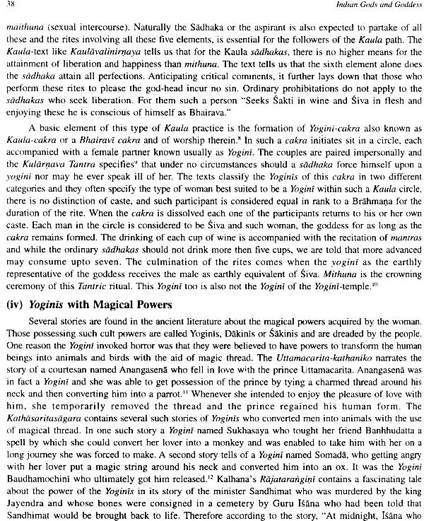 Yogini Shrines and Saktipithas (Set of 2 Volumes) - Retail Maharaj