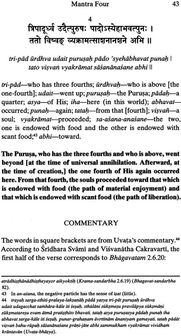 Purusa-Sukta: The Most Ancient Vedic Hymn (With the Commentary of Saunaka) - Retail Maharaj