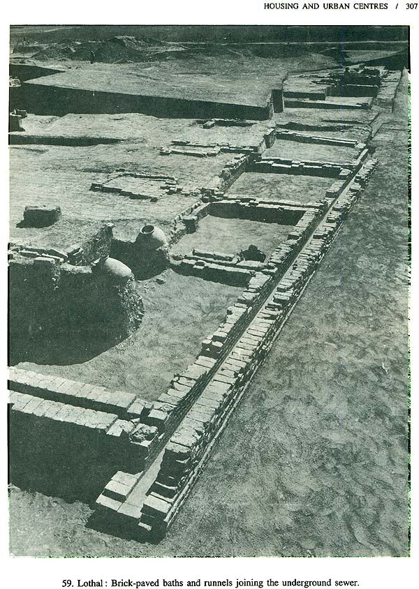 The Vedic Harappans - Retail Maharaj