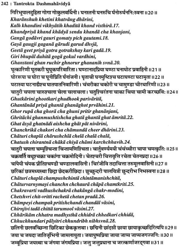 Tantrokta Dashmahavidya (Siddhi Sadhana of Ten Mahavidyas as per Tantras): A Big Book - Retail Maharaj