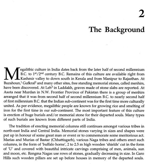 Chhattisgarh Megaliths - Retail Maharaj