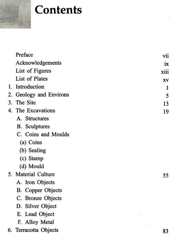 Excavations at Rajim - Retail Maharaj