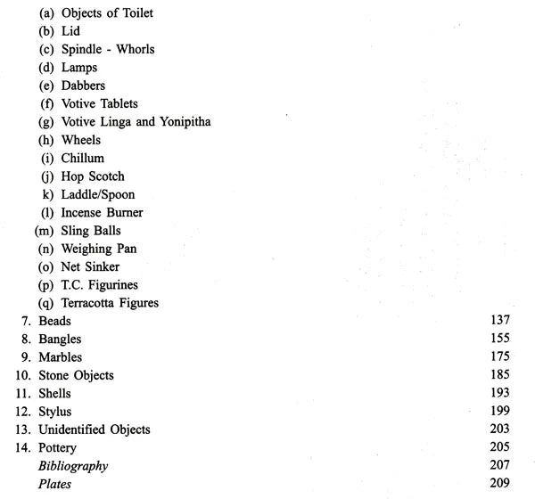 Excavations at Rajim - Retail Maharaj