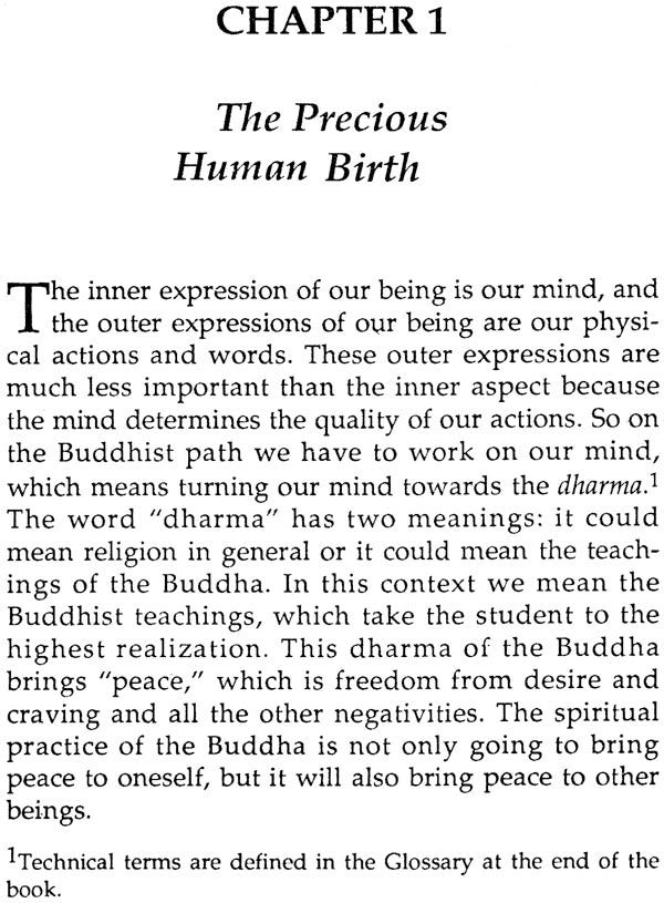 Four Ordinary Foundations of Buddhist Practice - Retail Maharaj