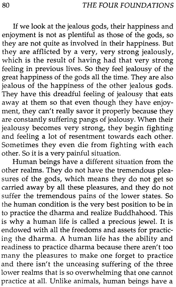 Four Ordinary Foundations of Buddhist Practice - Retail Maharaj