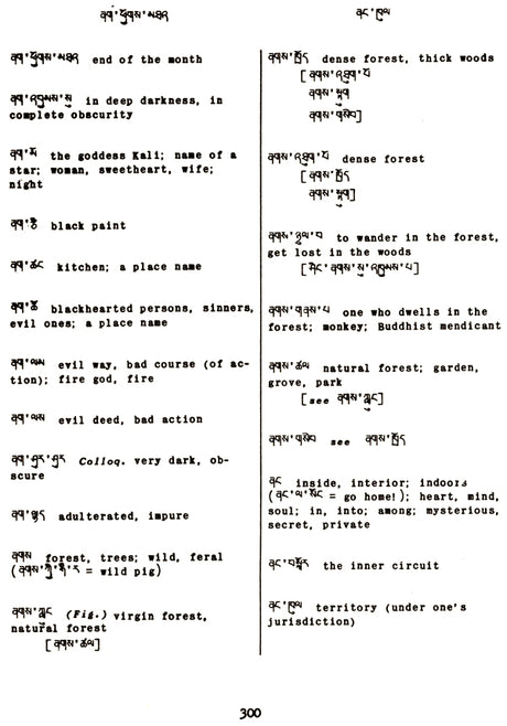 Tibetan-English Dictionary - Retail Maharaj