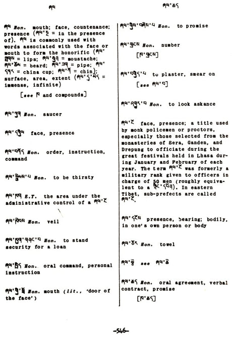Tibetan-English Dictionary - Retail Maharaj