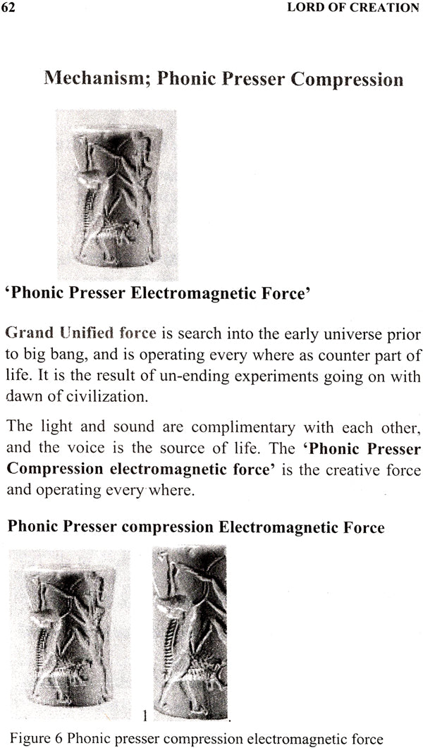 Lord of Creation- Einstein's Grand Unified Force - Retail Maharaj
