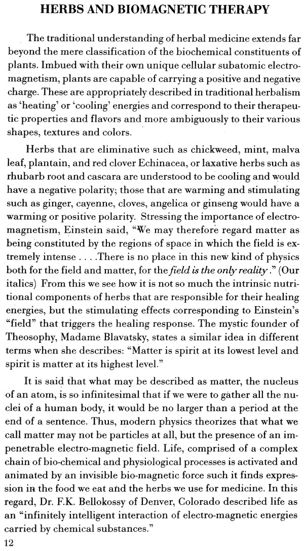 Biomagnetic and Herbal Therapy - Retail Maharaj