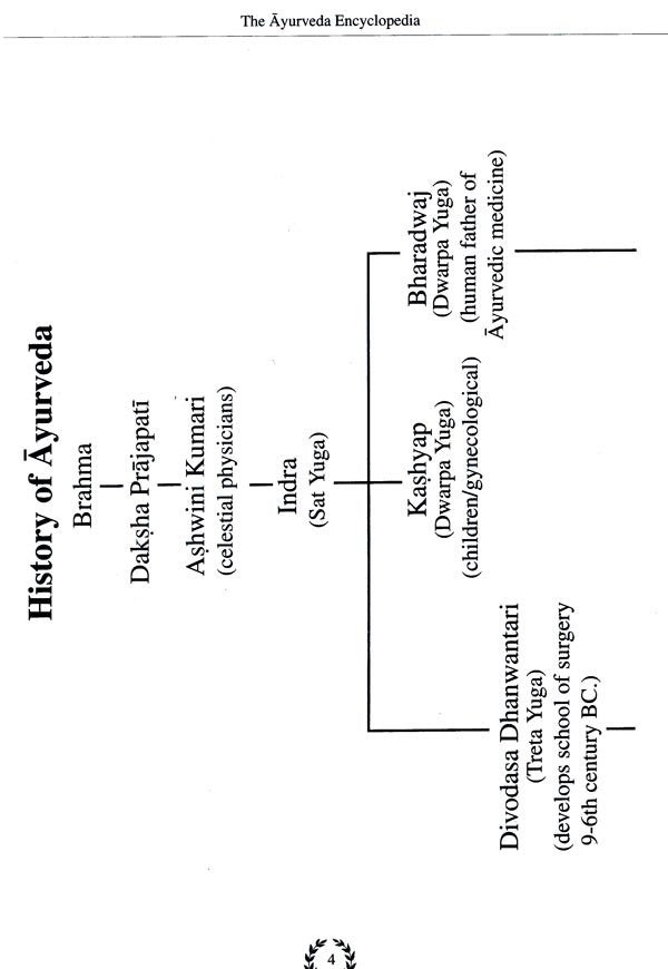 The Ayurveda Encyclopedia Natural Secrets To Healing, Preven-Tion And Longevity (II Revised Edition) - Retail Maharaj