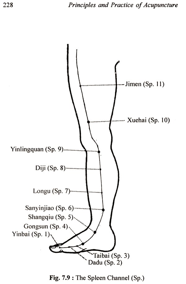 Principles and Practice of Acupuncture (Set of 2 Volumes) - Retail Maharaj