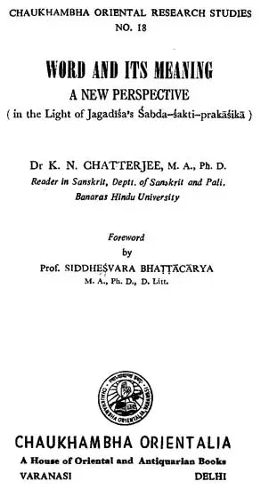 Word and Its Meaning- A New Perspective (An Old and Rare Book) - Retail Maharaj