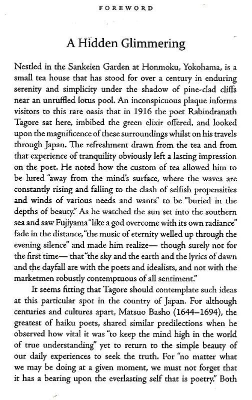 Stray Birds Fireflies and Other Poems - Retail Maharaj