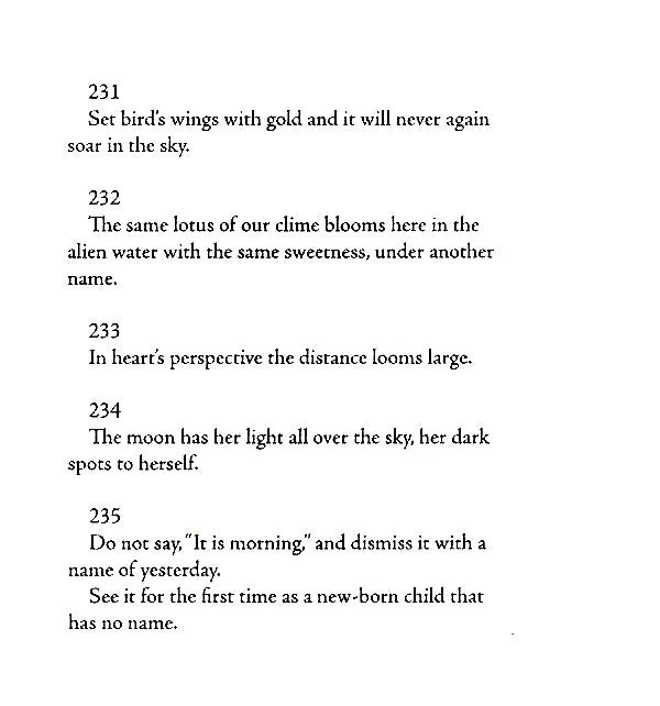 Stray Birds Fireflies and Other Poems - Retail Maharaj