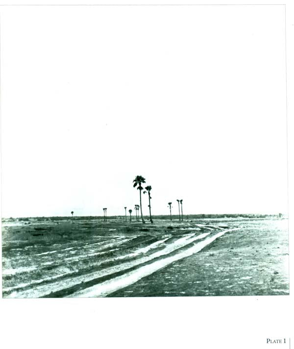 Faces and Places of Visva Bharati - A Collection of Photographs - Retail Maharaj