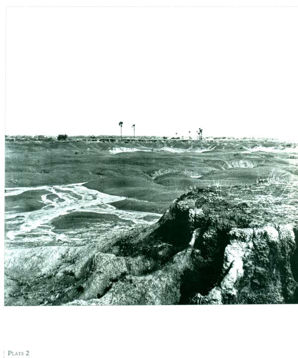 Faces and Places of Visva Bharati - A Collection of Photographs - Retail Maharaj