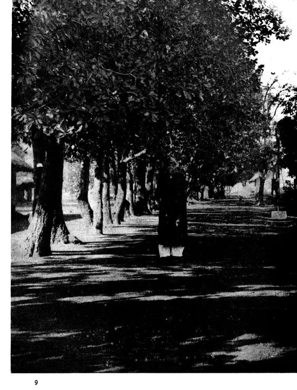 Santiniketan 1901-1951 - Retail Maharaj