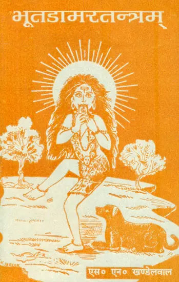 भूतडामरतन्त्रम्: Bhoot-Damar Tantram - Retail Maharaj