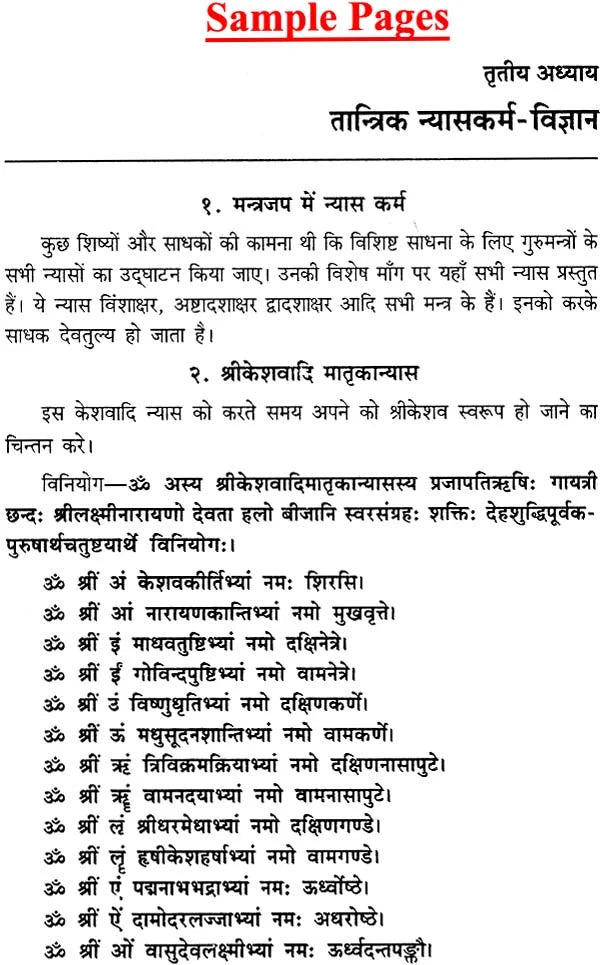 The Tantric Method of Worshipping Lord Krishna - Retail Maharaj