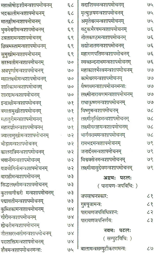 Shri Devi Rahasyam from the Rudrayamal Tantra (Set of 2 Volumes) - Retail Maharaj