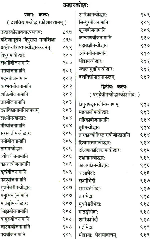 Shri Devi Rahasyam from the Rudrayamal Tantra (Set of 2 Volumes) - Retail Maharaj