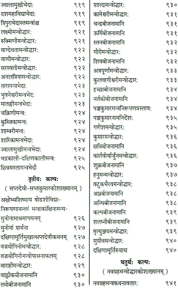Shri Devi Rahasyam from the Rudrayamal Tantra (Set of 2 Volumes) - Retail Maharaj