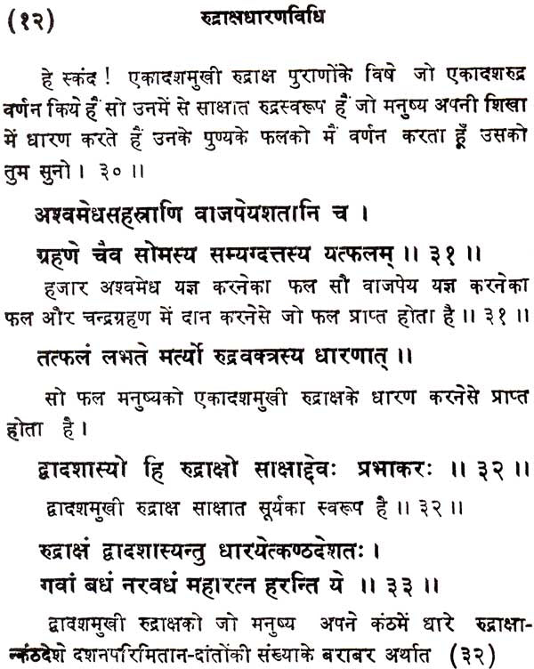 How to Wear Rudraksha - Retail Maharaj