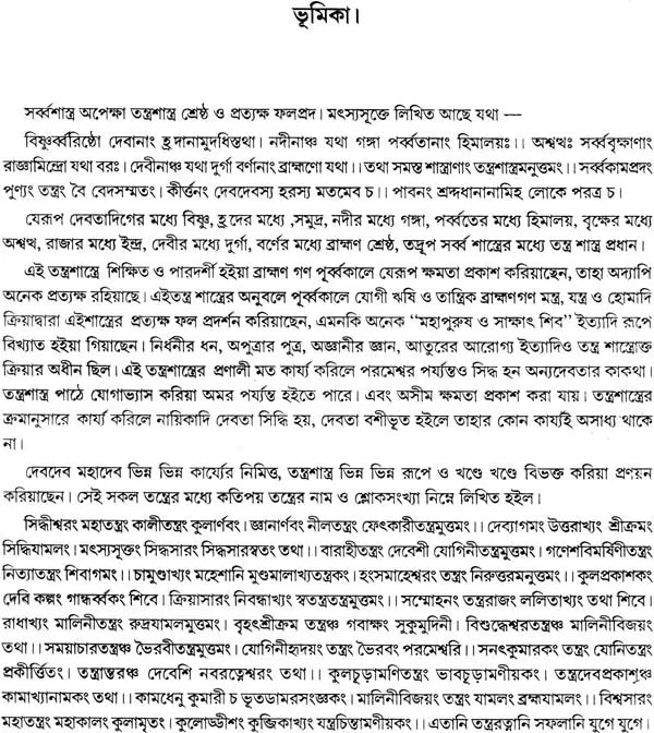 Brihat Tantra Sara (Bengali) - Retail Maharaj