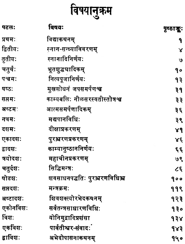 नीलसरस्वती तन्त्रम्: Nila Saraswati Tantram with Hindi Commentary - Retail Maharaj