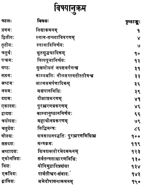नीलसरस्वती तन्त्रम्: Nila Saraswati Tantram with Hindi Commentary - Retail Maharaj