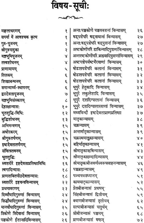 बटुकभैरवसपर्या - बटुकभैरव उपासना का सांगोपाक विवेचन: Batuk Bhairava Saparya - On the Worship of Batuka Bhairava - Retail Maharaj