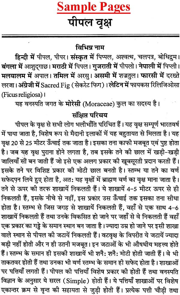 वृक्षराज पीपल: Pipal - The King of Trees - Retail Maharaj