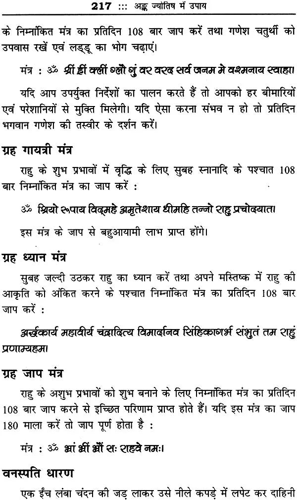 बृहत् वैदिक अंक संहिता: Brihat Vedik Anka Samhita (Set of 2 Volumes) - Retail Maharaj