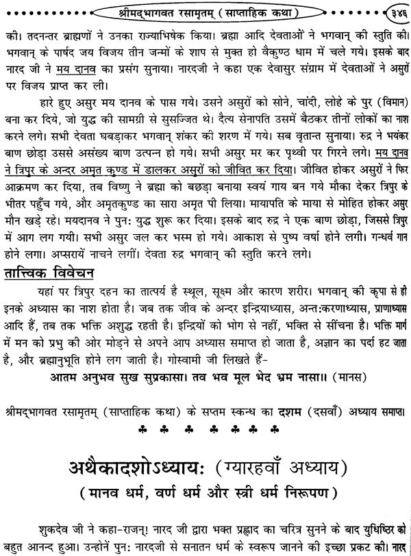 श्रीमद्भागवत रसामृतम: Shrimad Bhagawat Rasa Amrita - Retail Maharaj