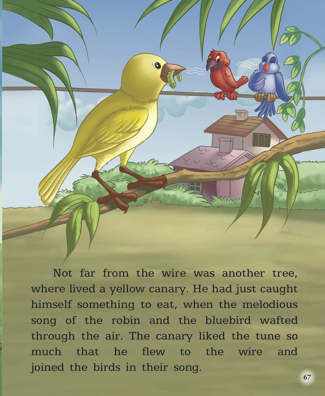 Story Book : Animal Stories - Large Print - Retail Maharaj