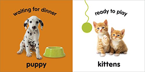 Baby Touch and Feel Baby Animals - Retail Maharaj