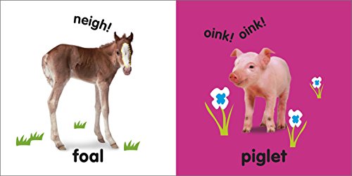 Baby Touch and Feel Baby Animals - Retail Maharaj