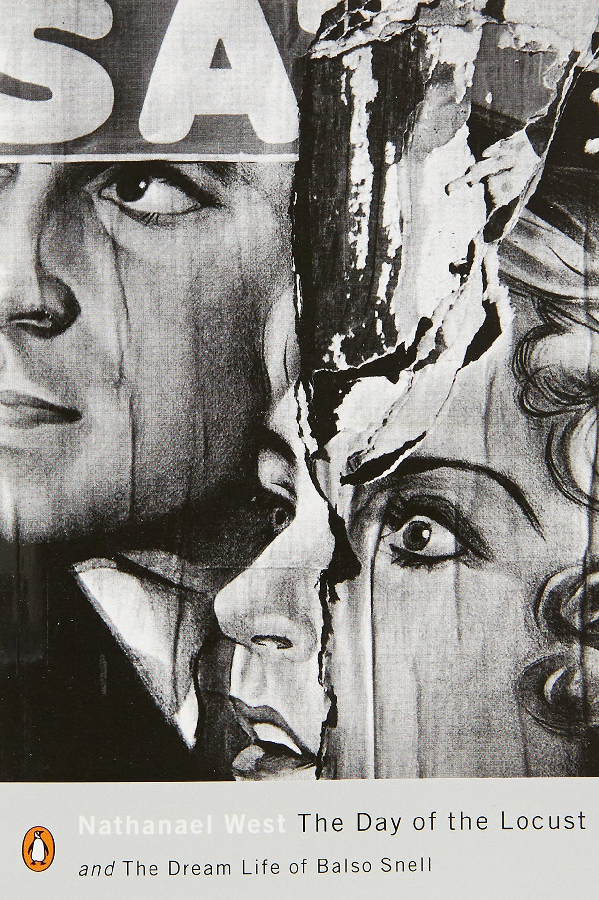 Day of the Locust and the Dream Life of Balso Snell: An Accidental Guide to Fatherhood - Retail Maharaj