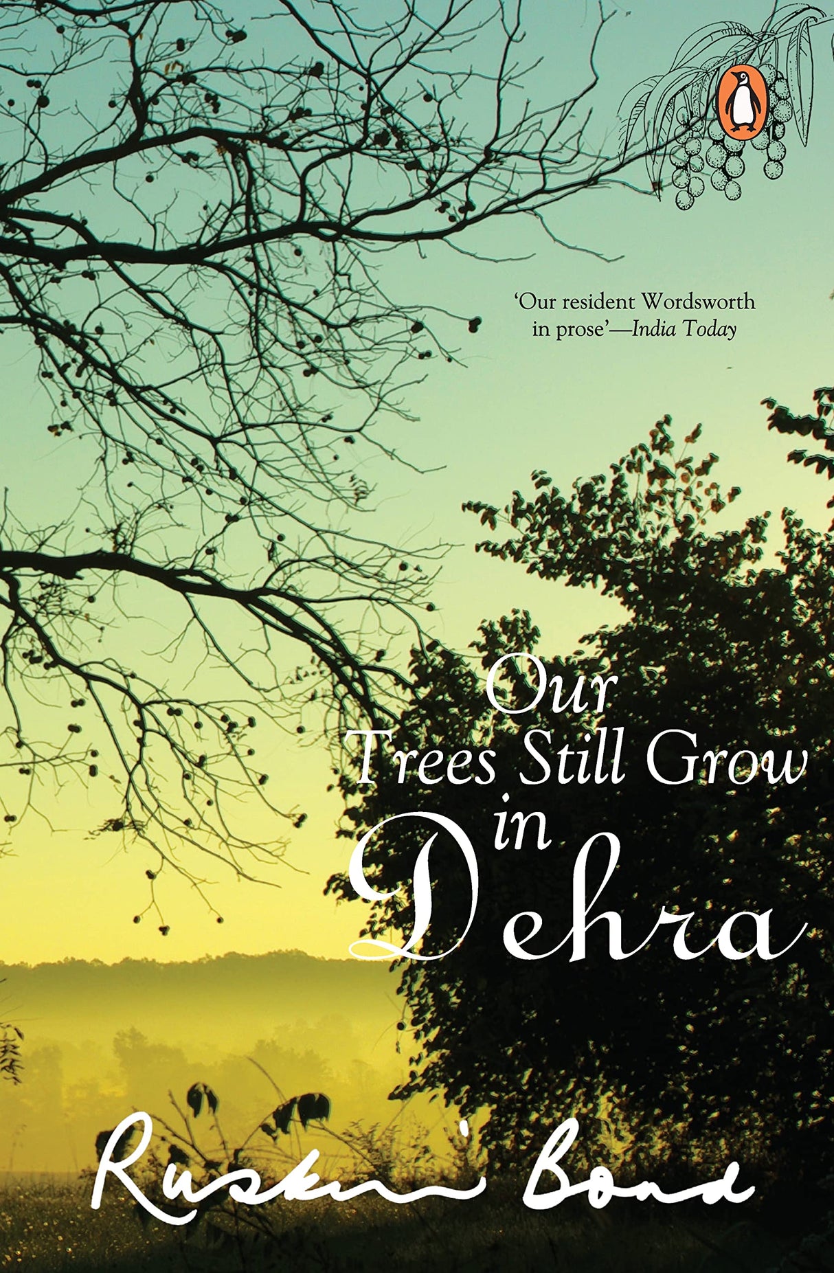 Our Trees Still Grow In Dehra - Retail Maharaj
