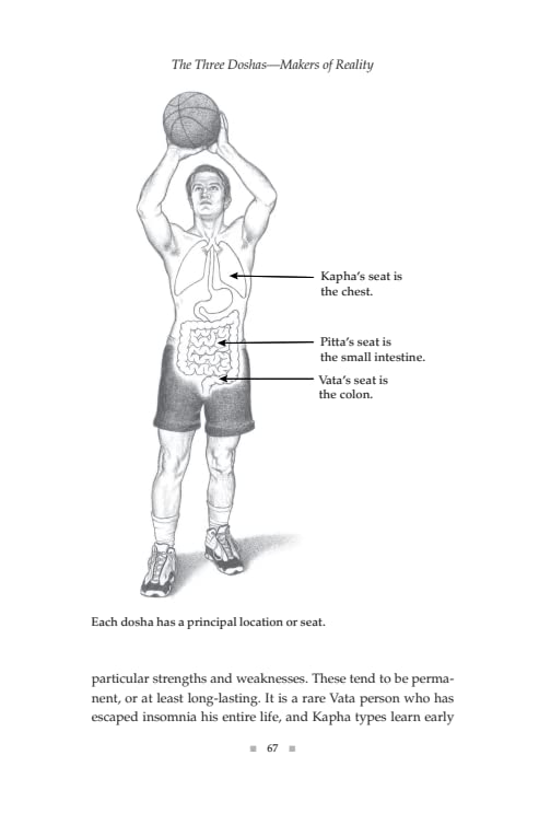 Perfect Health (Revised Edition) - Retail Maharaj