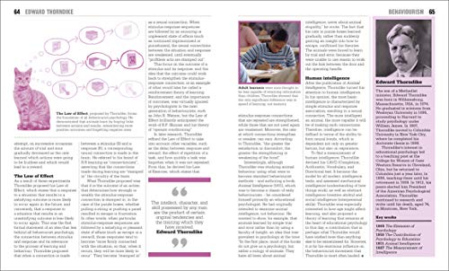 The Psychology Book: Big Ideas Simply Explained - Retail Maharaj