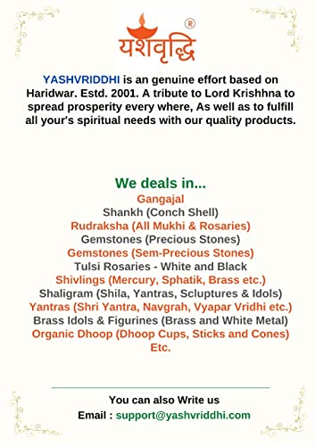 YASHVRIDDHI Lal Kitabh k Adbhut Totke Avam Upaye I लाल किताब के अद्भुत टोटके एवं उपाय - Retail Maharaj