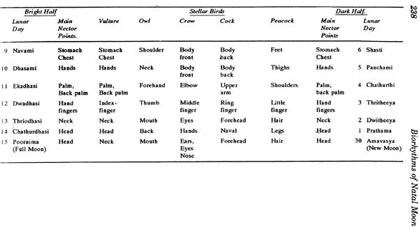 Biorhythms of Natal Moon: Mysteries of Panch Pakshi: A Treatise of Five Elements (Tatvas) Feathered in a Native (Jatak) - Retail Maharaj