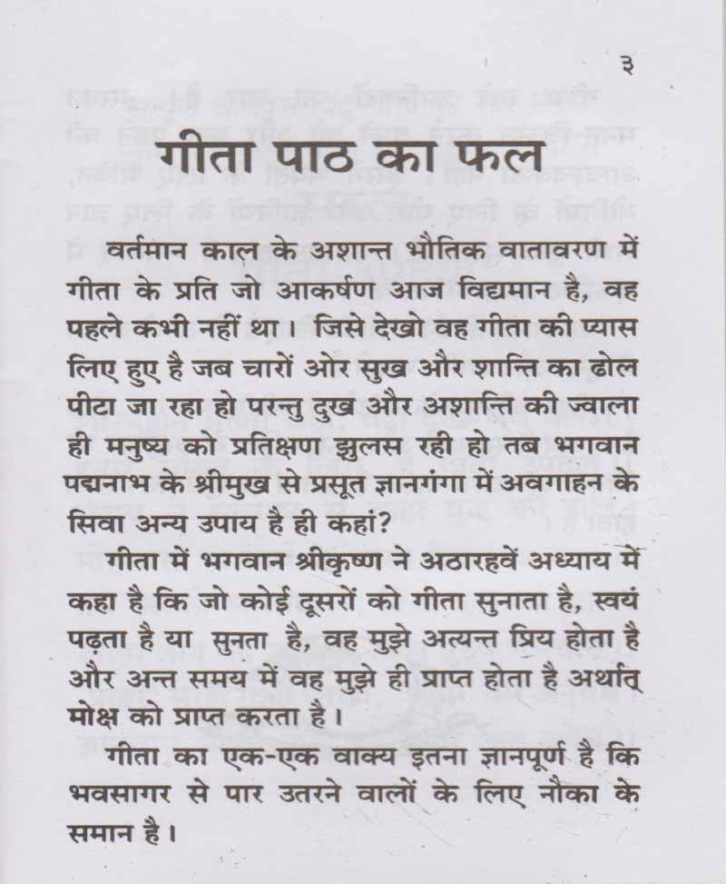 Geeta Saar / गीता सार - Retail Maharaj