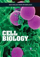 3G Collection on Biology: Cell Biology - Retail Maharaj